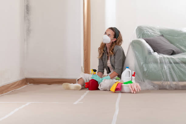 Reliable Mold Removal contractor in Sawyer, MI by WQB Mold Removal